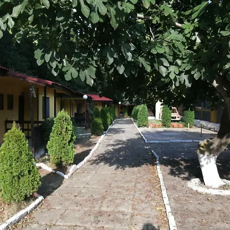 морска база венера