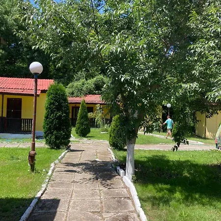 морска база венера *