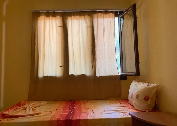 морска база венера キャンプ場 *