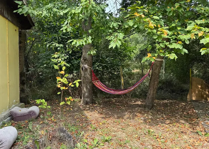 морска база венера